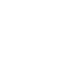 White Logo