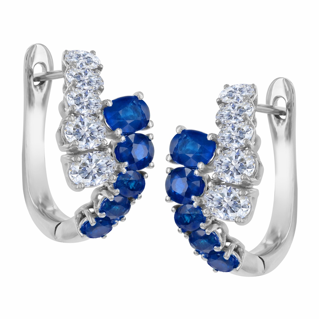 HIGH JEWELRY EARRING