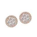 STELLAROSA EARRING