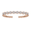 SERA BANGLE