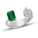 High Jewelry Ring 1