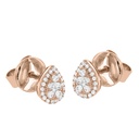 STELLAROSA EARRING